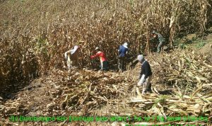 photo_2019-03-05_09-07-06