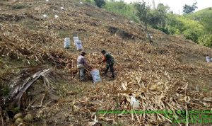 photo_2019-03-07_09-26-52