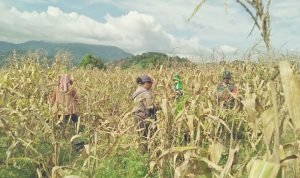 photo_2019-04-05_15-22-50