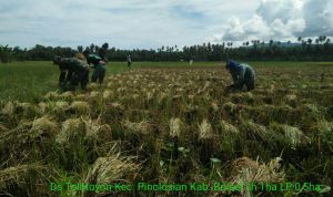 photo_2019-05-21_10-12-01