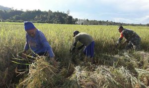 photo_2019-05-23_08-11-11