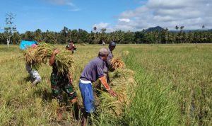 photo_2019-05-23_10-15-44