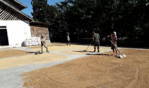 photo_2019-05-25_09-17-48