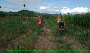 photo_2019-05-25_09-33-41