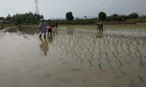photo_2019-05-29_09-29-47