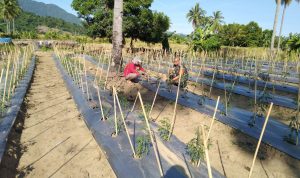 photo_2019-05-29_09-56-35