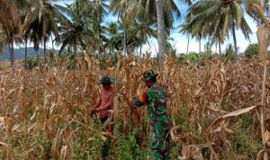 photo_2019-05-30_09-35-16
