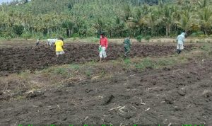 photo_2019-06-01_08-54-37