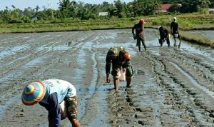 photo_2019-06-01_09-13-55