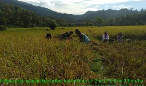 photo_2019-06-10_09-10-39