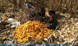 photo_2019-06-10_09-12-56