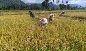 photo_2019-06-29_08-35-20