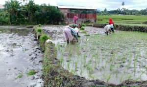 photo_2019-06-29_10-53-34