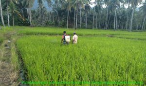 photo_2019-07-01_08-35-50