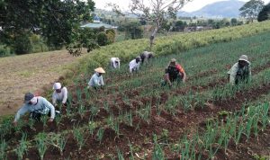 photo_2019-07-28_12-00-42