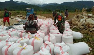 photo_2019-07-29_09-10-09