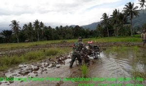 photo_2019-07-31_08-22-12