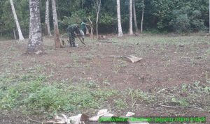 photo_2019-07-31_09-00-14