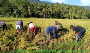 photo_2019-08-09_08-31-08