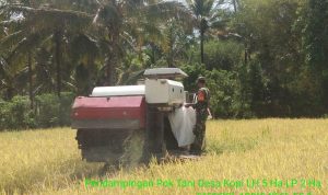 photo_2019-10-30_07-06-03