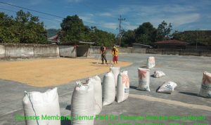 photo_2019-10-31_08-59-08