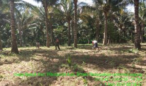 photo_2019-11-01_08-10-34