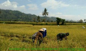 photo_2019-11-01_09-19-15