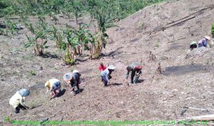 photo_2019-11-04_06-20-36