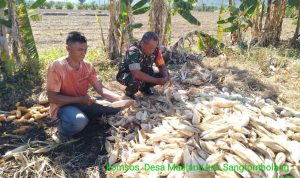 photo_2019-11-08_08-54-53