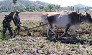 photo_2019-11-09_08-21-07