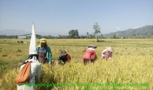 photo_2019-11-15_09-44-16