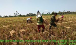 photo_2019-11-16_11-02-37