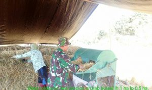 photo_2019-11-17_07-27-13