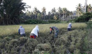 photo_2019-11-18_06-59-56