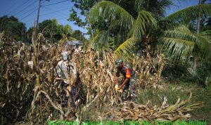 photo_2019-11-18_09-12-38