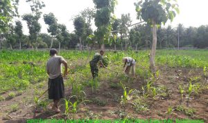 photo_2019-11-19_09-31-01