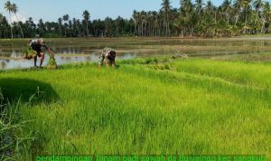 photo_2019-11-23_06-54-42