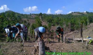 photo_2019-11-24_08-57-47