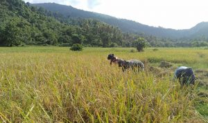 photo_2019-11-24_09-29-55