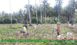 photo_2019-11-26_09-56-28