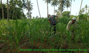 photo_2019-11-30_09-02-30