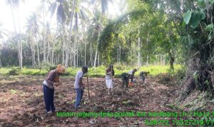 photo_2019-12-01_08-55-49