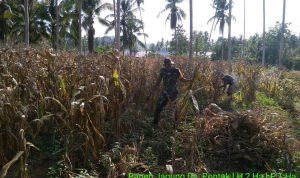 photo_2019-12-03_08-32-38