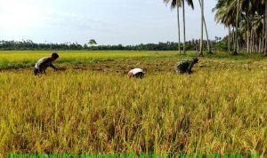 photo_2019-12-03_10-47-12