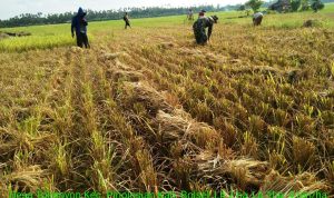 photo_2019-12-07_07-46-49