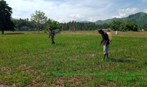 photo_2019-12-11_15-22-15