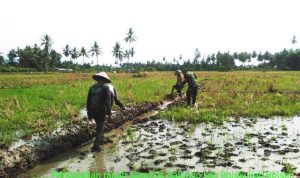 photo_2019-12-16_09-08-20