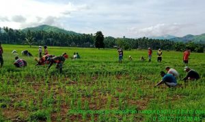 photo_2019-12-19_16-14-15