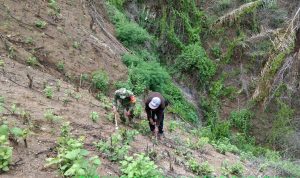 photo_2019-12-20_07-54-51