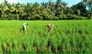 photo_2019-12-26_08-55-33